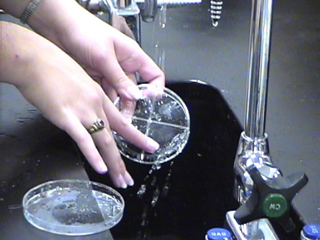 labwash.jpg